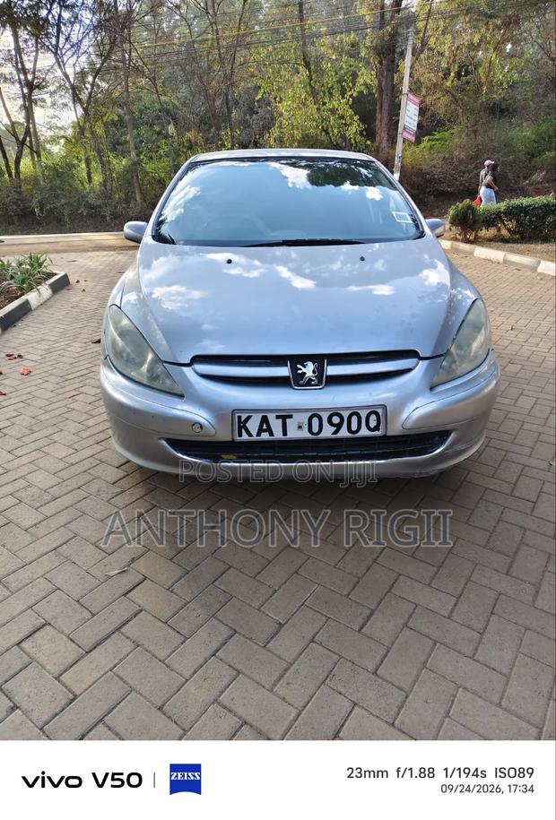 Peugeot 307 1.6 Premium 2005 Gray