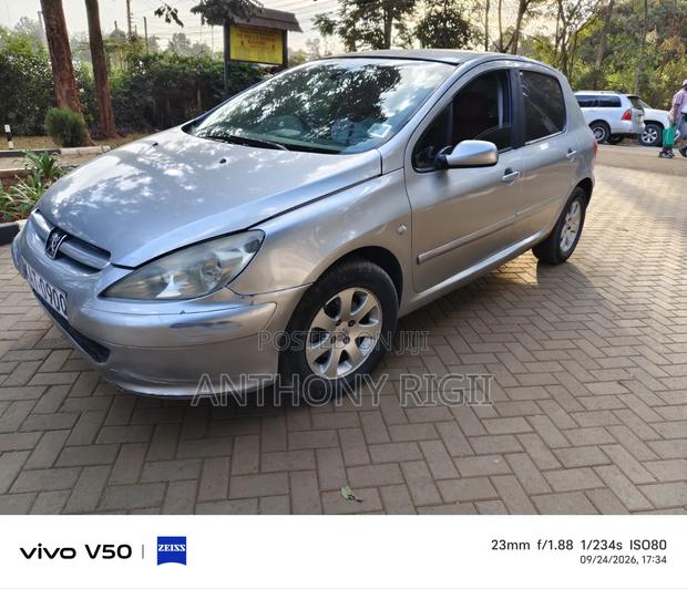 Peugeot 307 1.6 Premium 2005 Gray