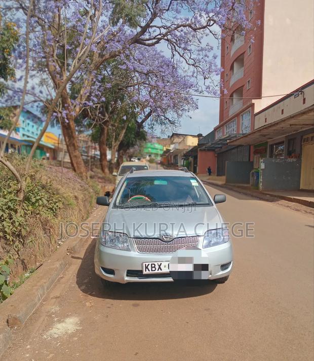 Toyota Corolla Fielder 2008 Silver