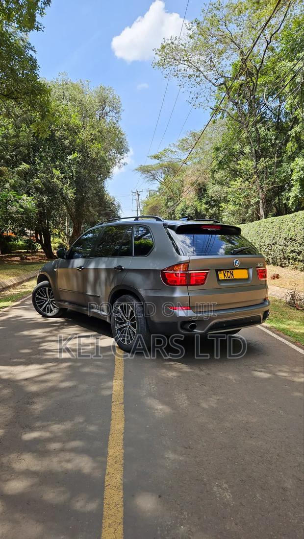 BMW X5 xDrive30i AWD (3.0L 6cyl 6A) 2010 Gray