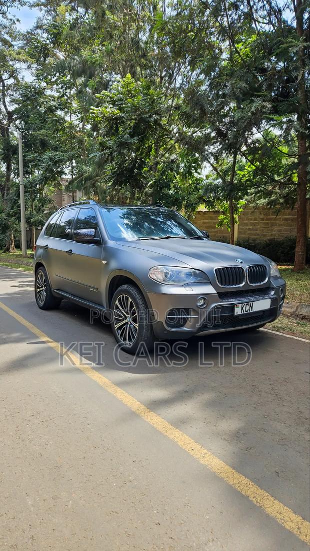 BMW X5 xDrive30i AWD (3.0L 6cyl 6A) 2010 Gray