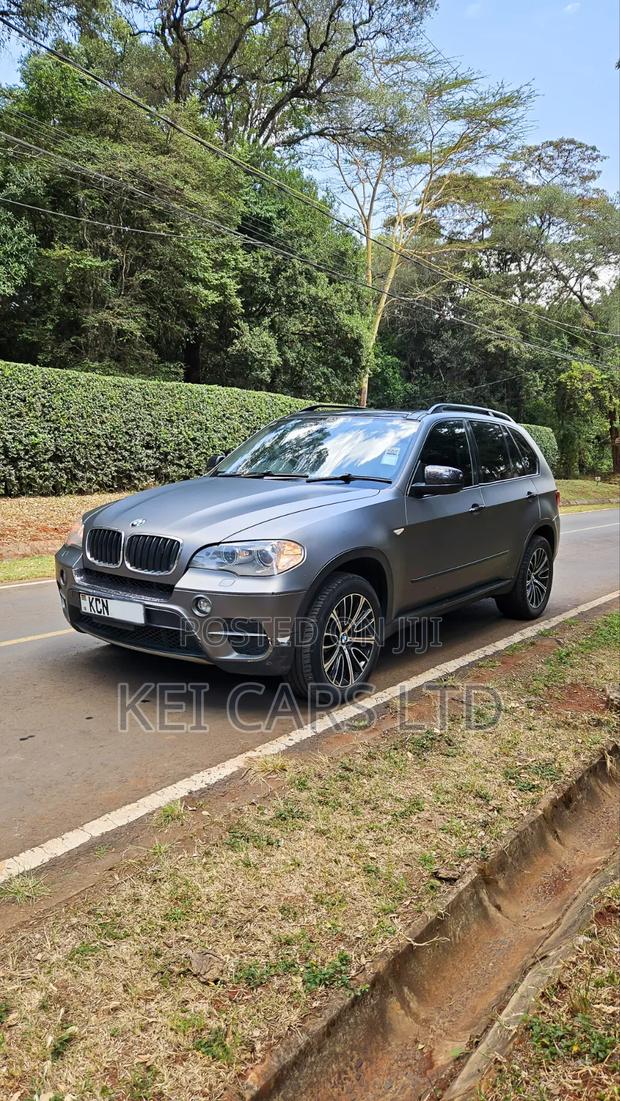 BMW X5 xDrive30i AWD (3.0L 6cyl 6A) 2010 Gray