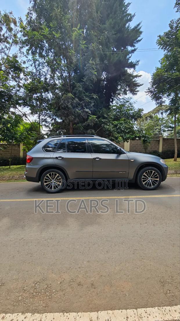 BMW X5 xDrive30i AWD (3.0L 6cyl 6A) 2010 Gray