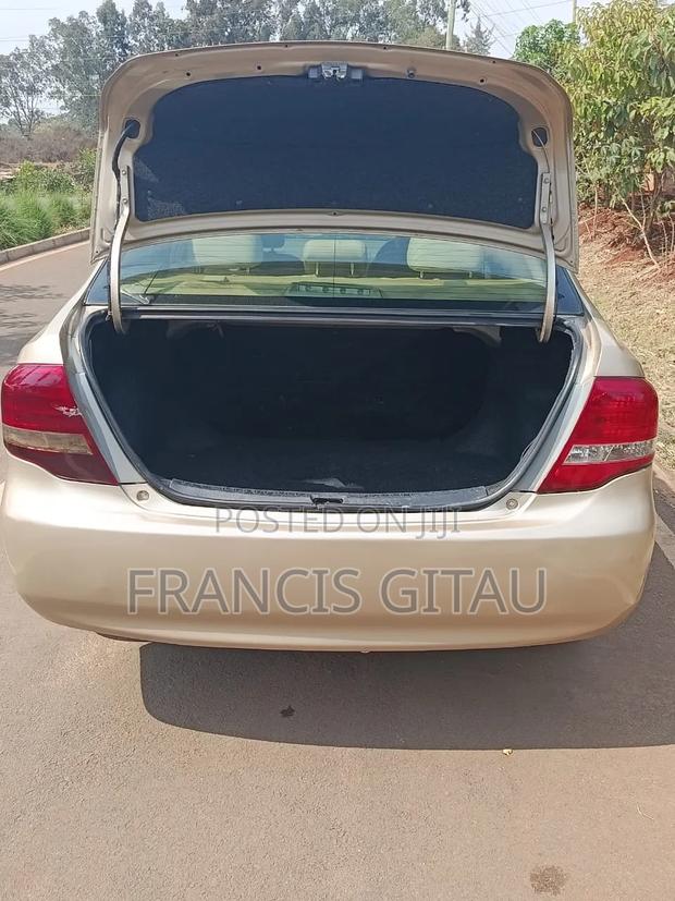 Toyota Axio 2009 Gold