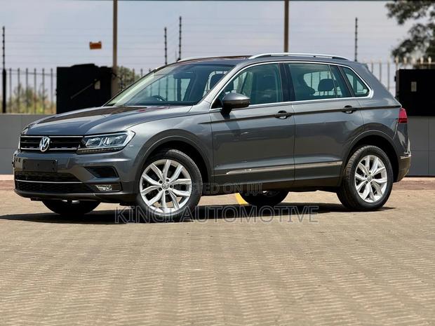 Volkswagen Tiguan 2.0T S FWD 2019 Gray