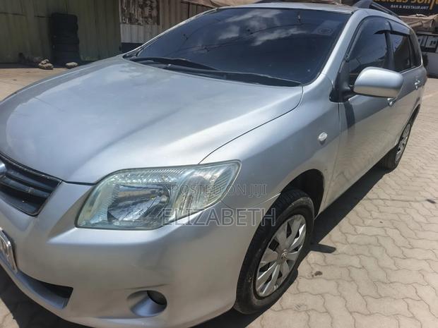 Toyota Corolla Fielder 2008 Silver