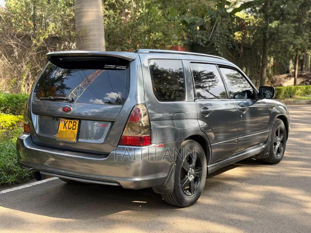 Mitsubishi Outlander 2008 Gray
