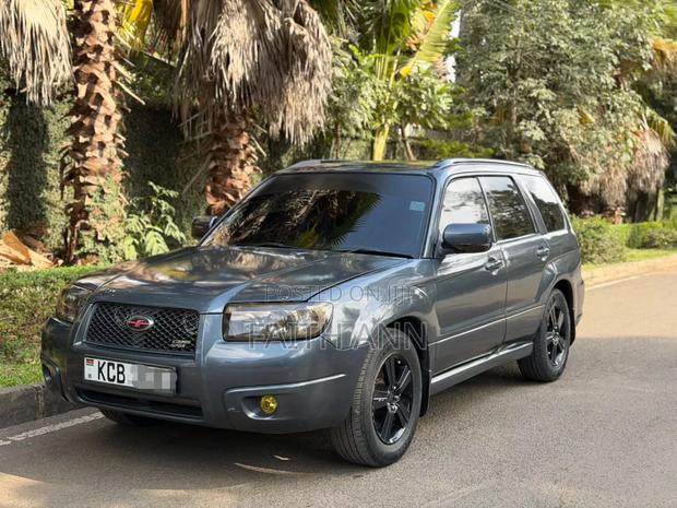 Mitsubishi Outlander 2008 Gray