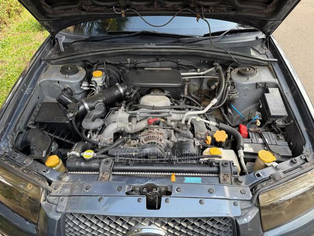 Subaru Forester 2007 Gray