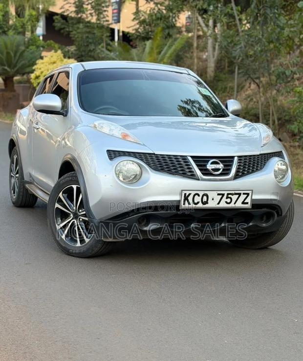 Nissan Juke 2011 Gray