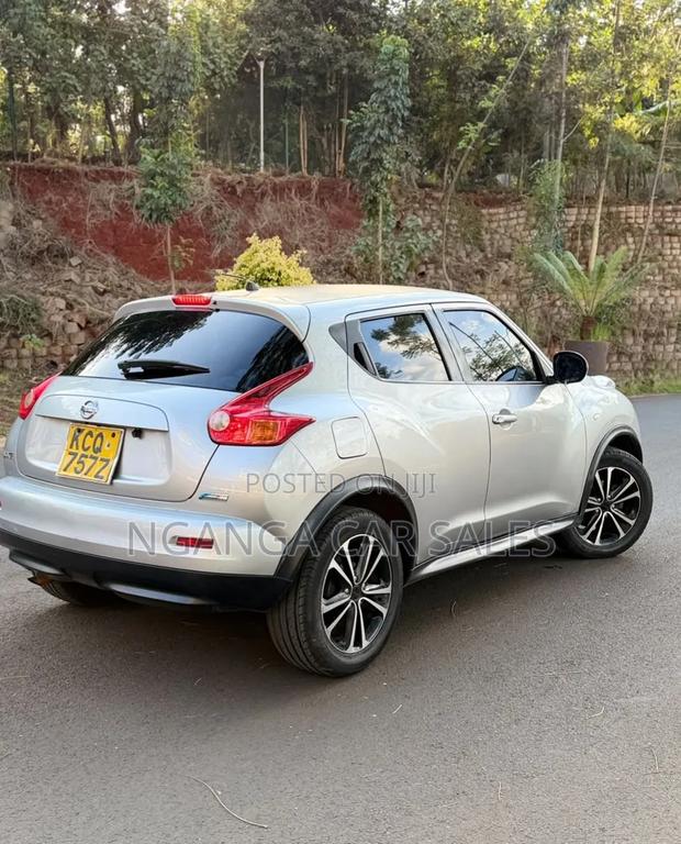Nissan Juke 2011 Gray