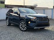 Toyota RAV4 XLE Premium AWD 2019 Black for sale
