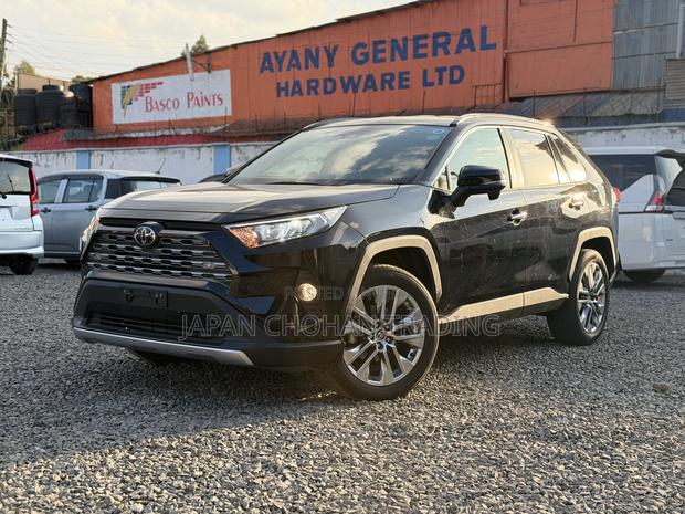 Toyota RAV4 XLE Premium AWD 2019 Black