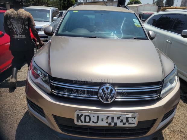 Volkswagen Tiguan 2015 Beige