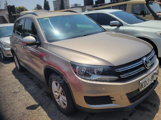 Volkswagen Tiguan 2015 Beige