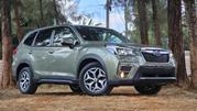 Subaru Forester Base AWD 2019 Green for sale