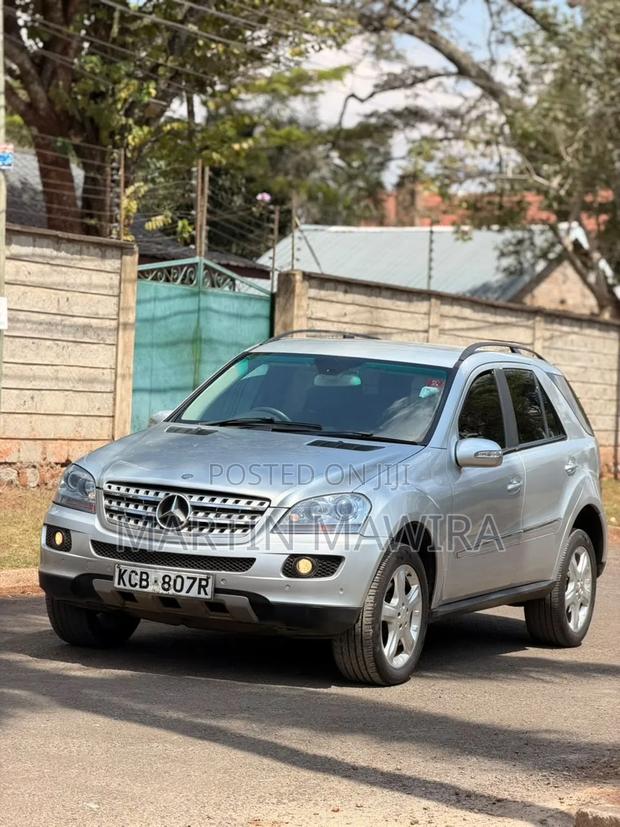 Mercedes-Benz M Class 2010 Silver