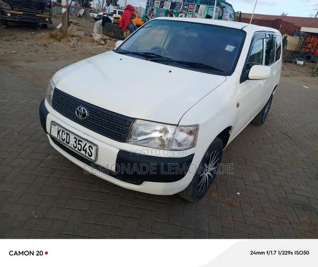 Toyota Probox 1.5 DX 2WD 2009 Pearl
