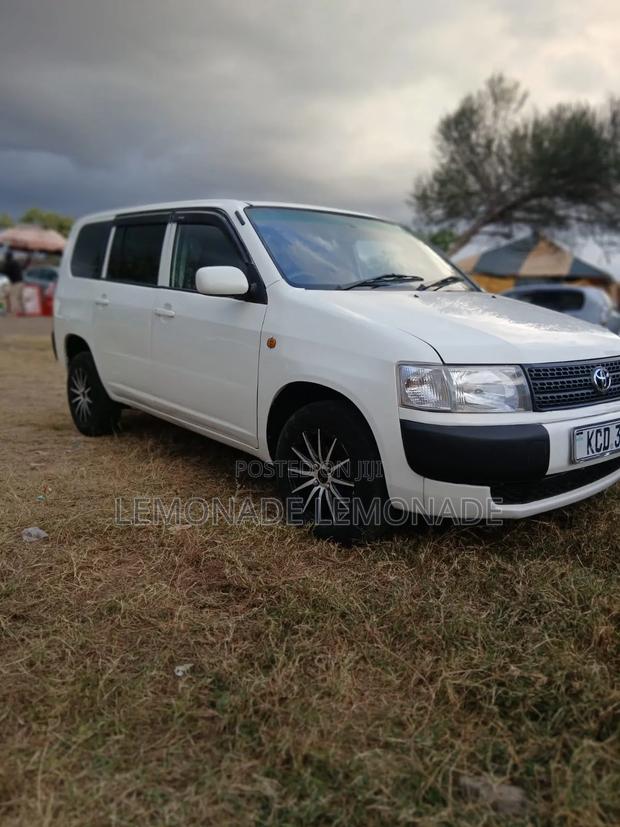 Toyota Probox 1.5 DX 2WD 2009 Pearl