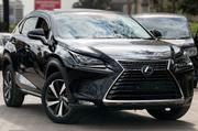 Lexus NX 2019 Black for sale