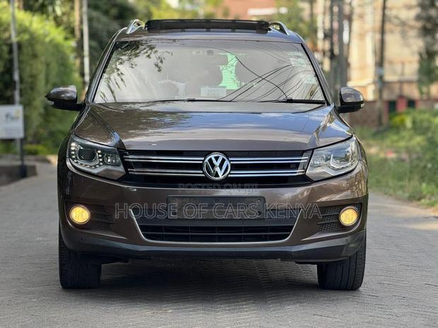 Volkswagen Tiguan 2015 Brown