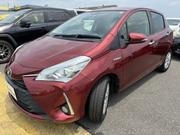 Toyota Vitz 2019 Red for sale