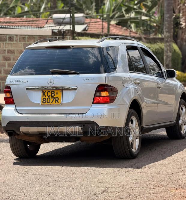 Mercedes-Benz M Class 2010 Silver