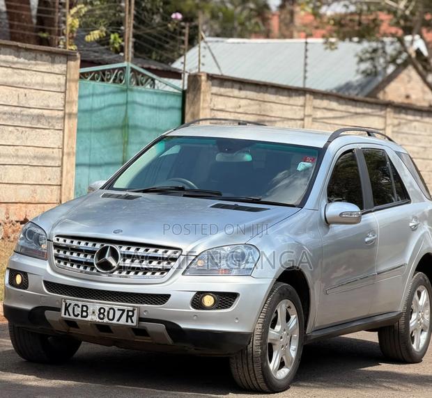 Mercedes-Benz M Class 2010 Silver