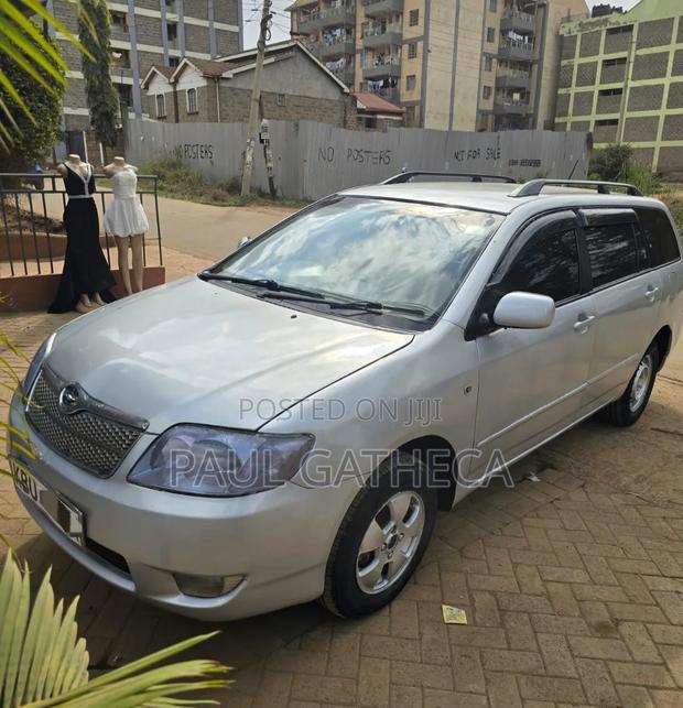 Toyota Corolla Fielder 2005 Silver
