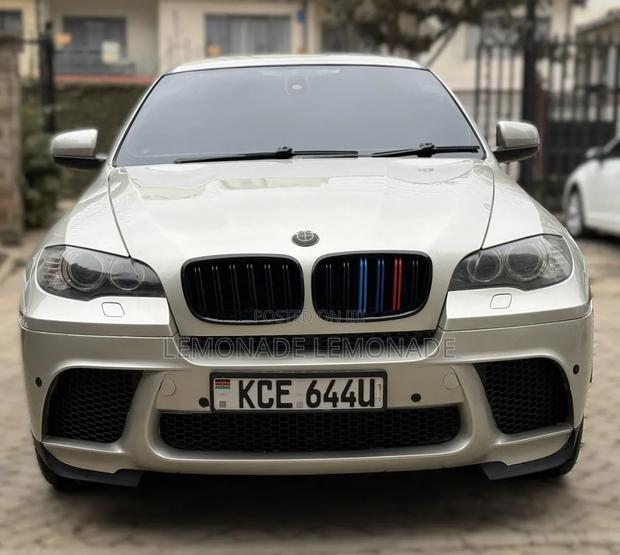 BMW X6 xDrive 30d 2009 Gold