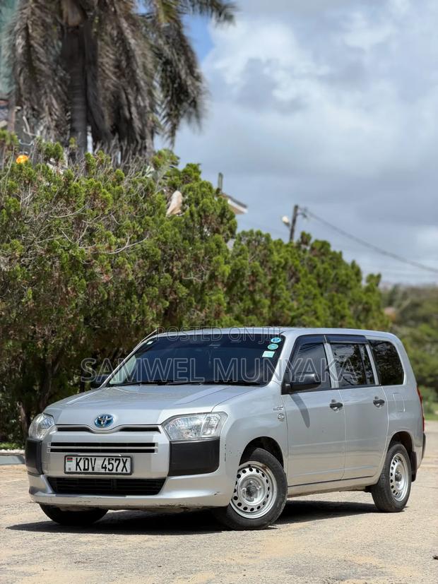 Toyota Probox 1.5 Hybrid DX 2019 Silver