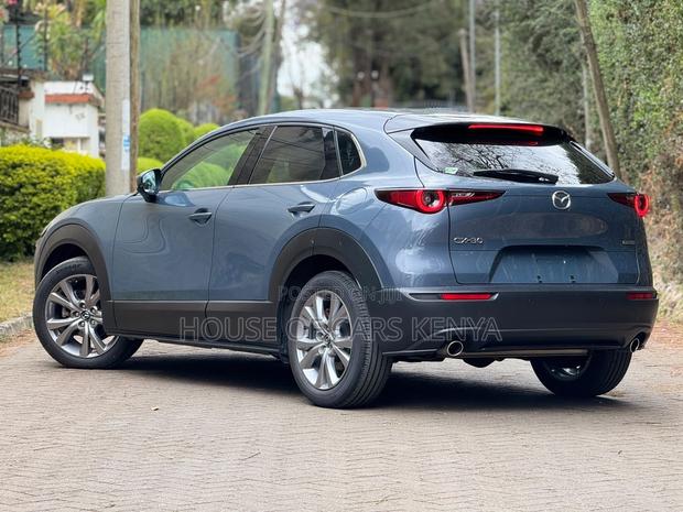 Mazda CX-30 2020 Blue