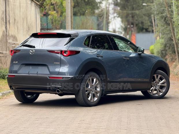 Mazda CX-30 2020 Blue