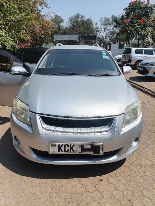 Toyota Corolla Fielder 2010 Silver