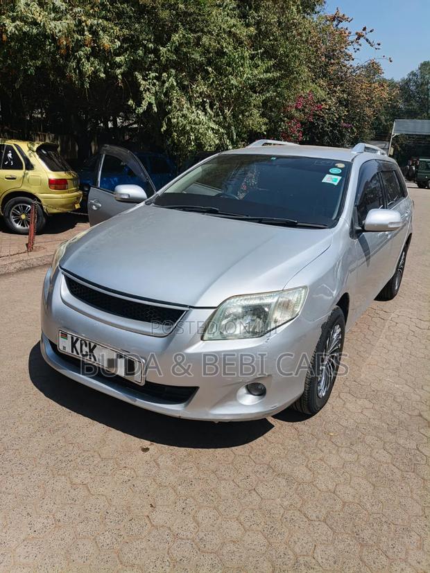 Toyota Corolla Fielder 2010 Silver
