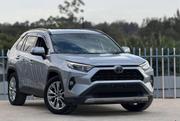 Toyota RAV4 Adventure 2019 Gray for sale