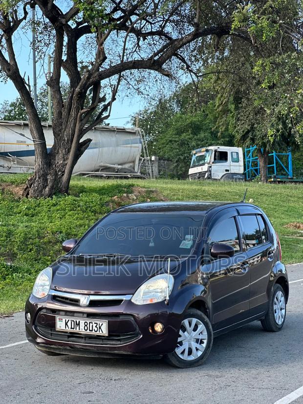 Toyota Passo 2016 Brown