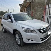 Volkswagen Tiguan 2010 Pearl for sale
