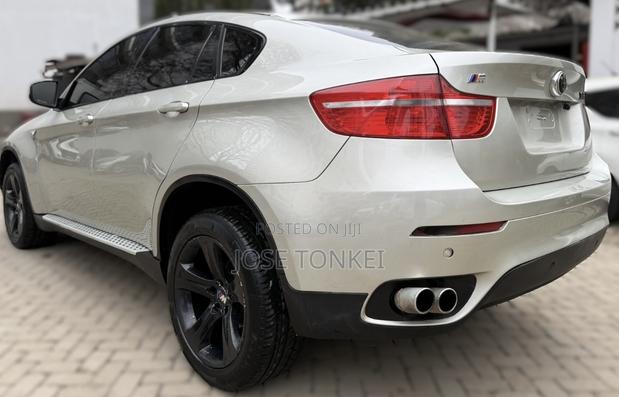 BMW X6 Sports Activity Coupe 2008 Gray