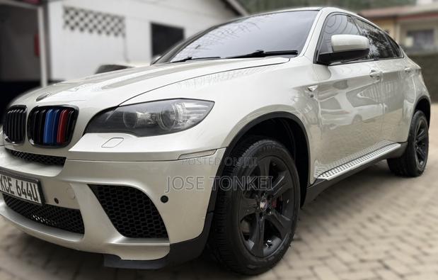 BMW X6 Sports Activity Coupe 2008 Gray