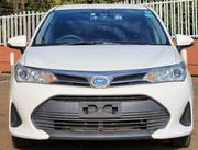 Toyota Corolla Fielder 2019 White for sale