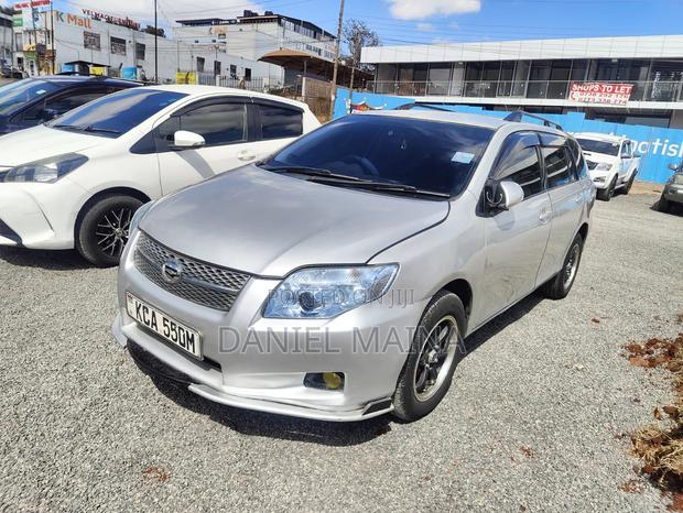 Toyota Corolla Fielder 2007 Silver