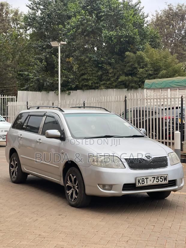 Toyota Corolla Fielder 2006 Silver