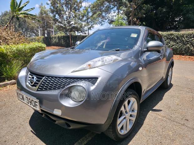 Nissan Juke 2012 Gray