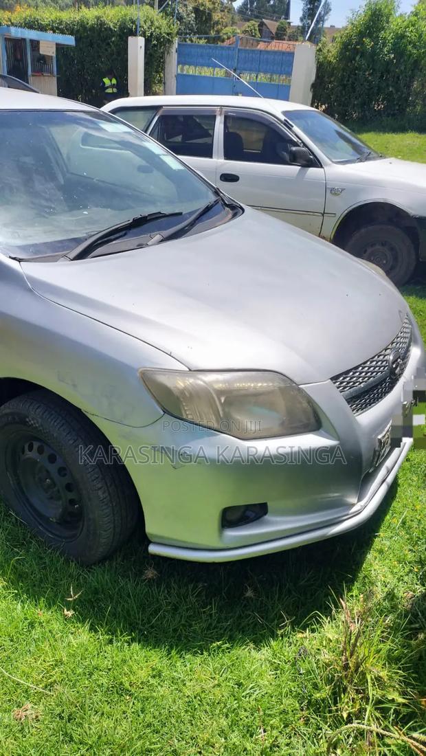 Toyota Corolla Fielder 2009 Silver