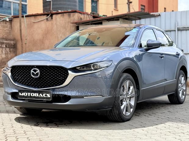 Mazda CX-30 2019 Gray