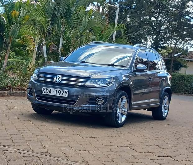 Volkswagen Tiguan 2015 Gray