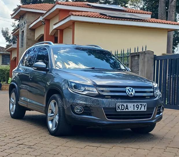 Volkswagen Tiguan 2015 Gray