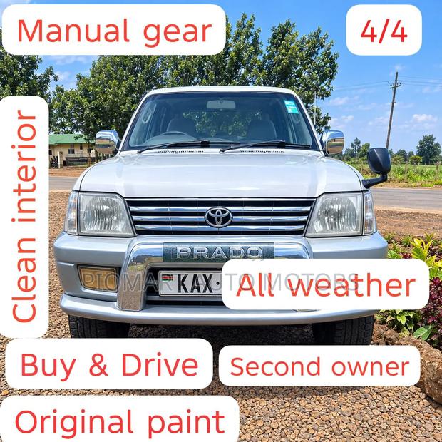Toyota Land Cruiser Prado 2001 Silver