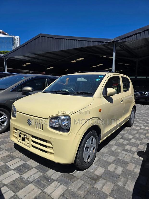Suzuki Alto 2019 Gold